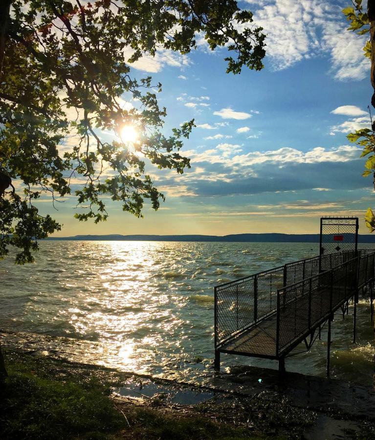 Party Villa Holiday Rent Balatonfoldvar Bagian luar foto