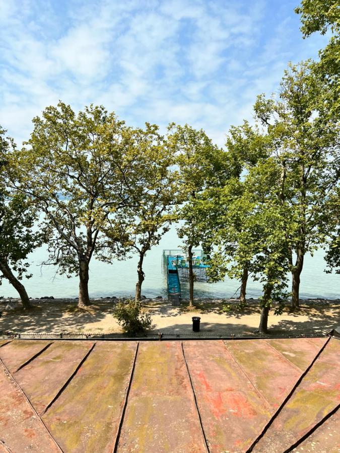 Party Villa Holiday Rent Balatonfoldvar Bagian luar foto