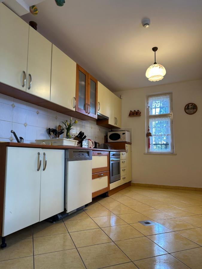 Party Villa Holiday Rent Balatonfoldvar Bagian luar foto